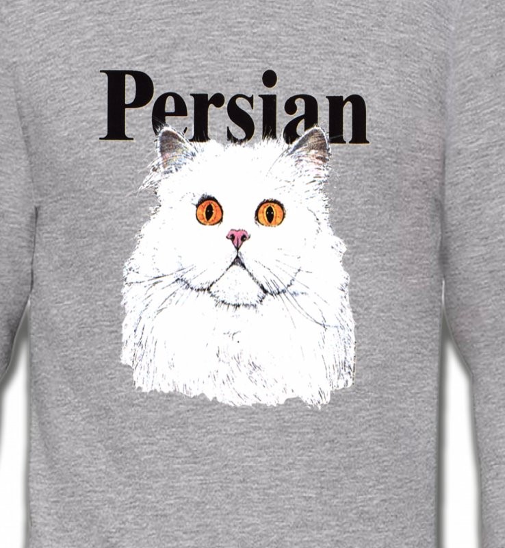 Chat Persan (H2)