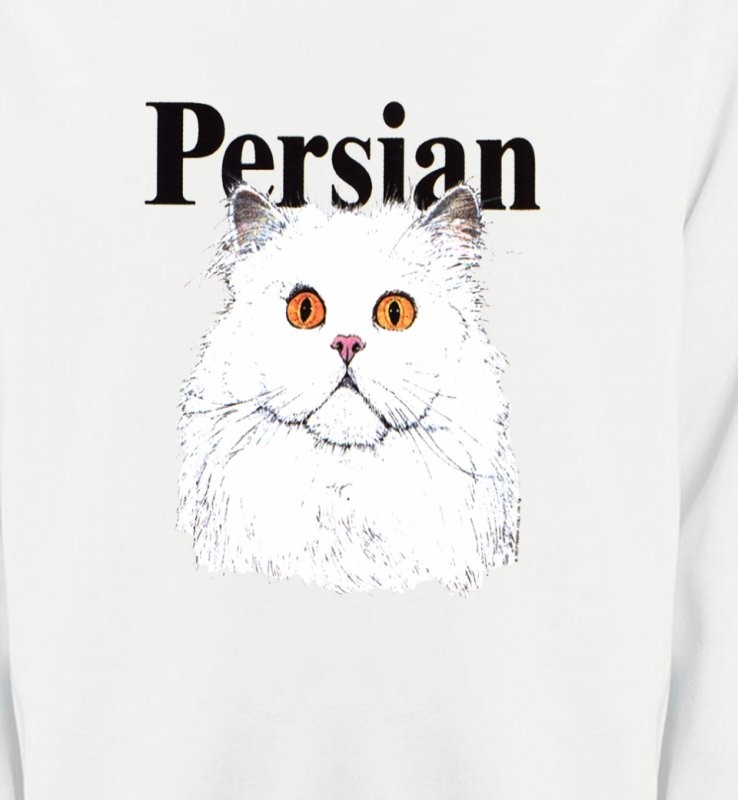 Chat Persan (H2)