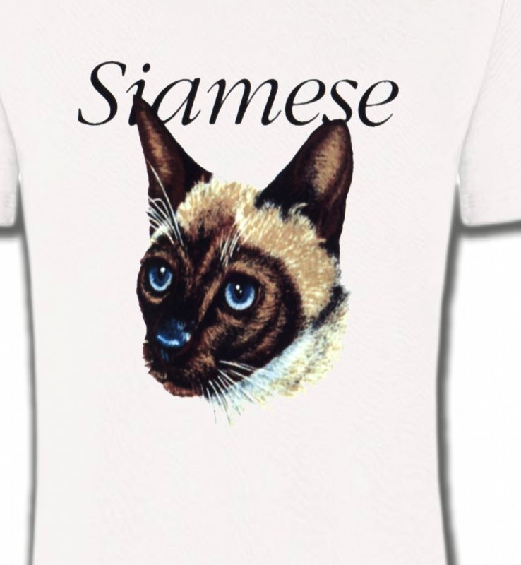 Chat siamois (K2)