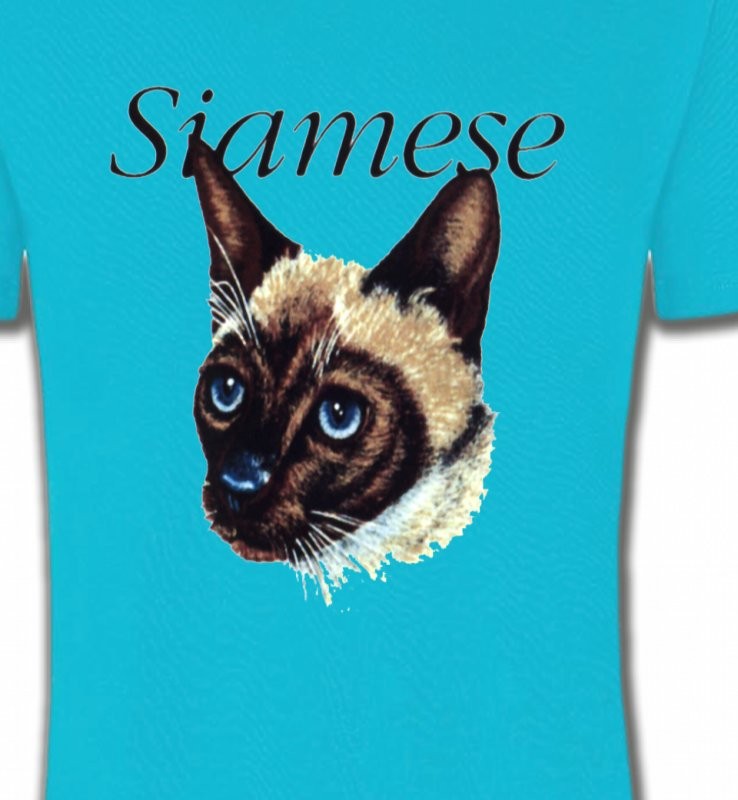 Chat siamois (K2)