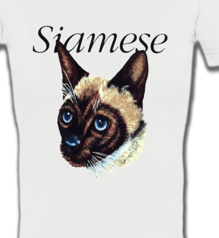 Chat siamois (K2)