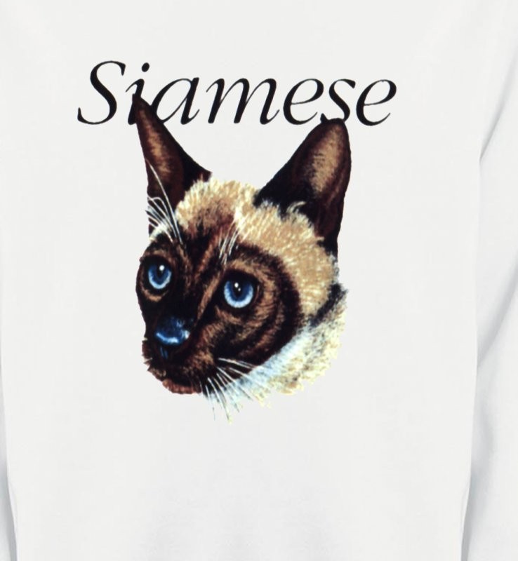Chat siamois (K2)