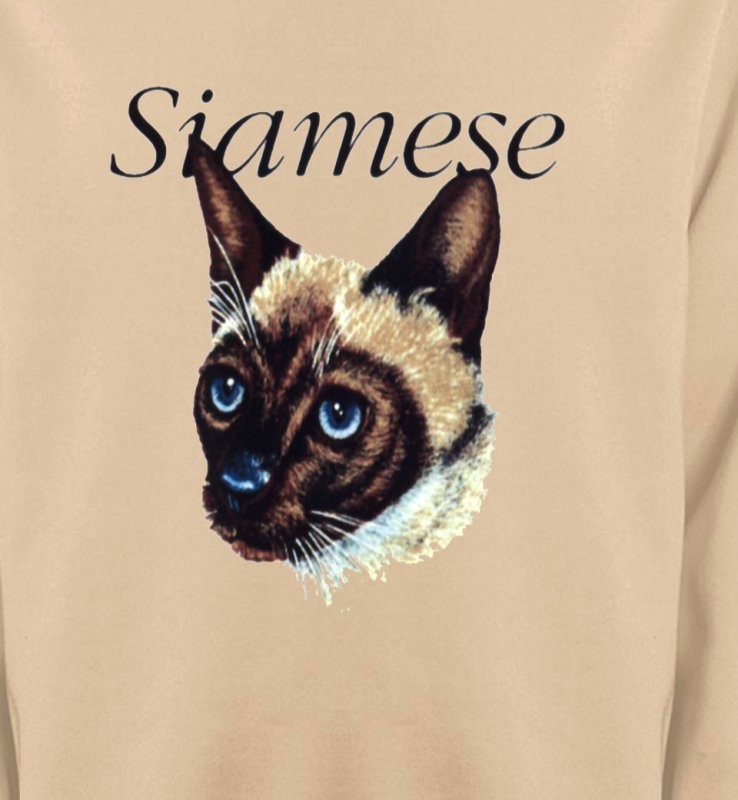 Chat siamois (K2)