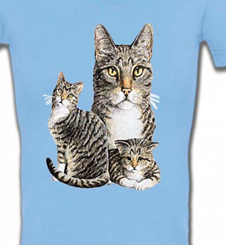 Chats tigré gris (M2)