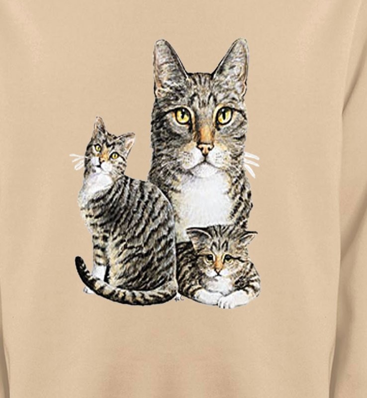 Chats tigré gris (M2)