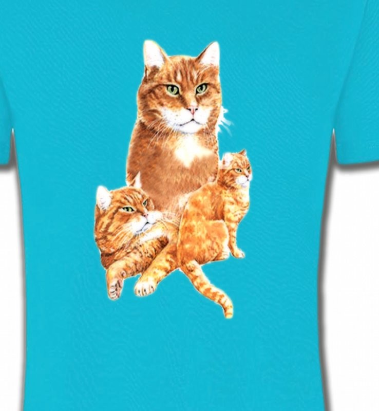 Chat tigré roux (L2)