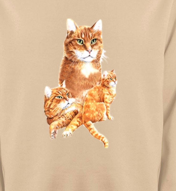Chat tigré roux (L2)