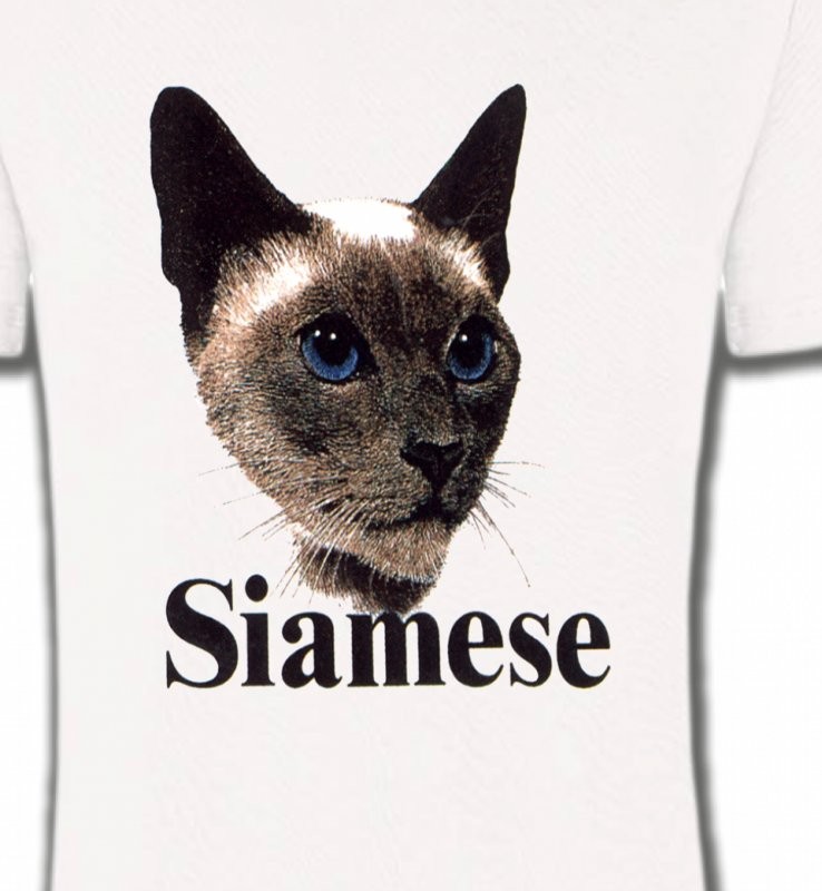 Chat Siamois (J2)