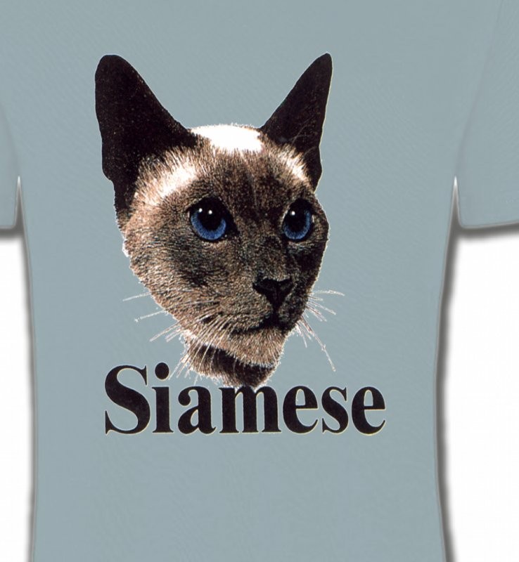 Chat Siamois (J2)