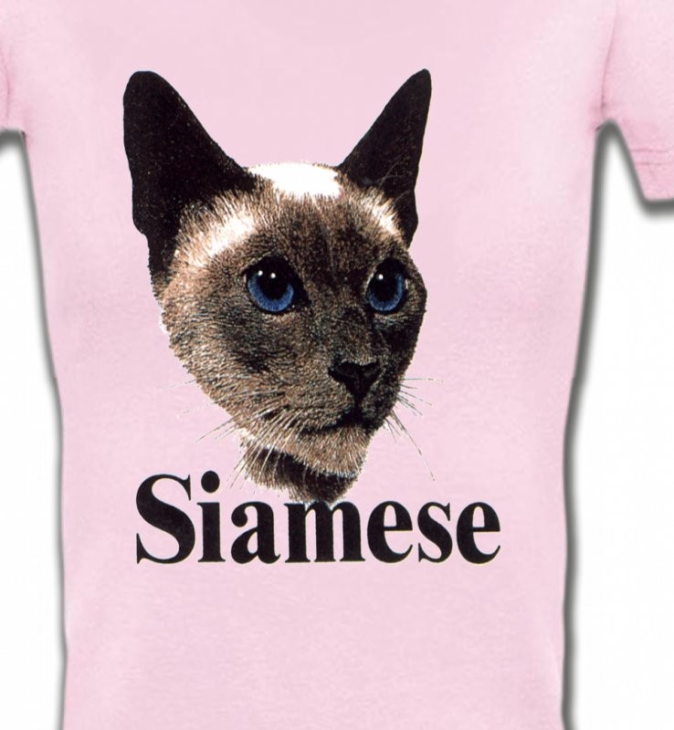 Chat Siamois (J2)