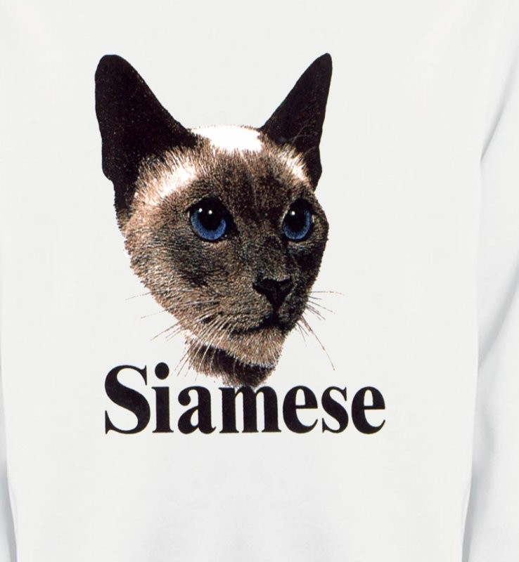 Chat Siamois (J2)