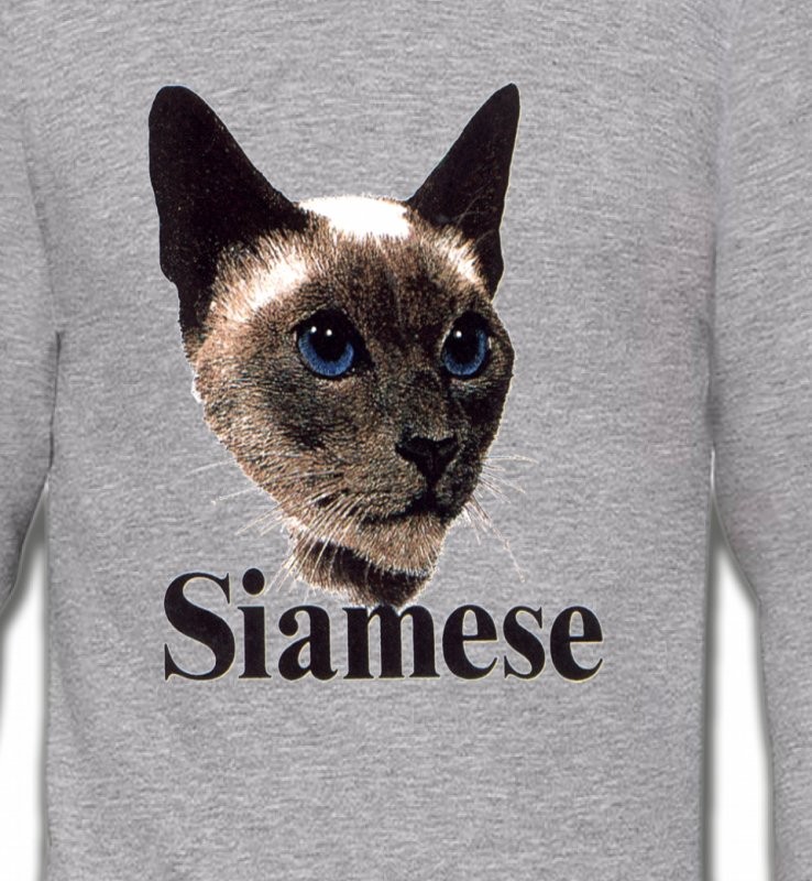 Chat Siamois (J2)