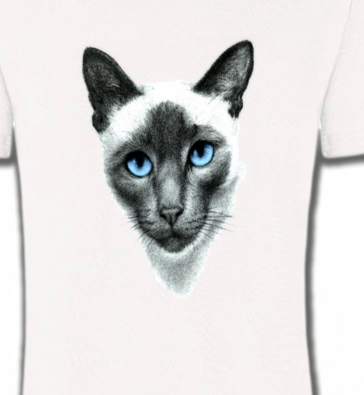 Chat Siamois (F2)