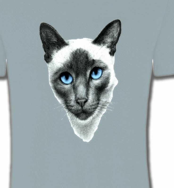 Chat Siamois (F2)