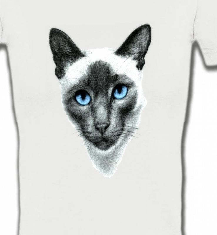 Chat Siamois (F2)