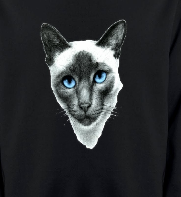 Chat Siamois (F2)