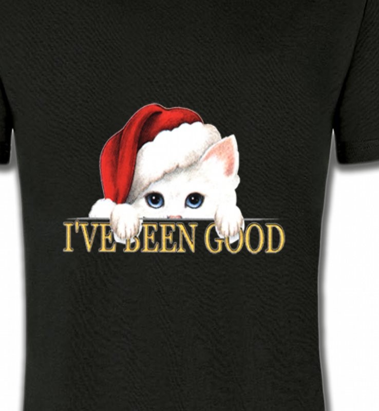 Chaton blanc avec bonnet de Père Noël (O)