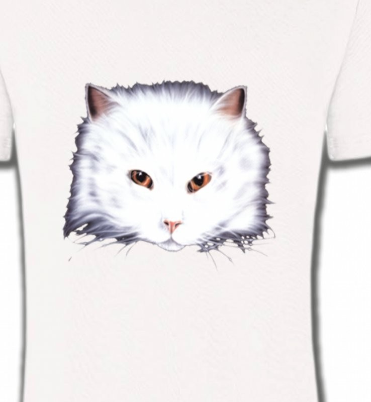 Chat Angora blanc