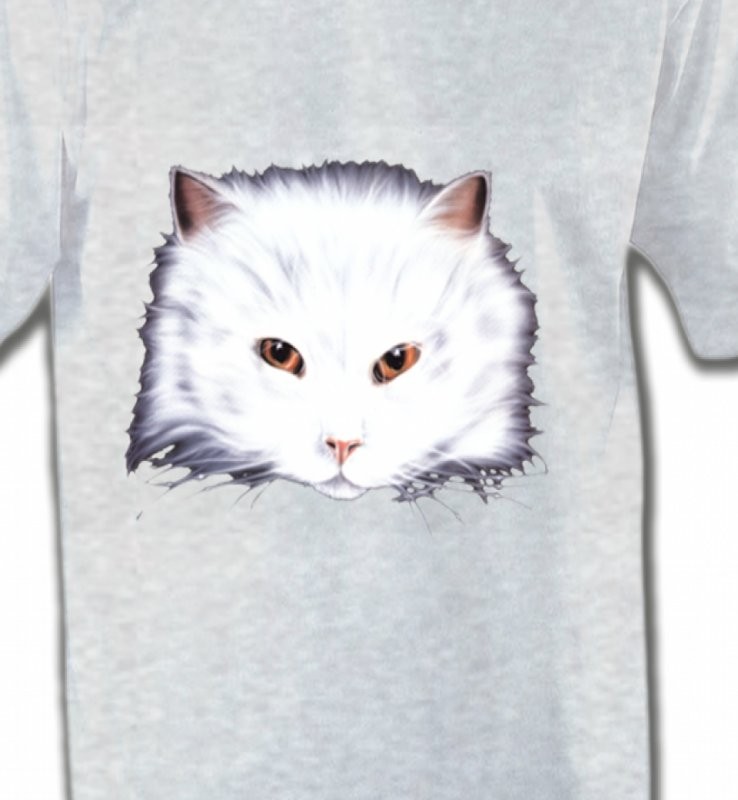 Chat Angora blanc