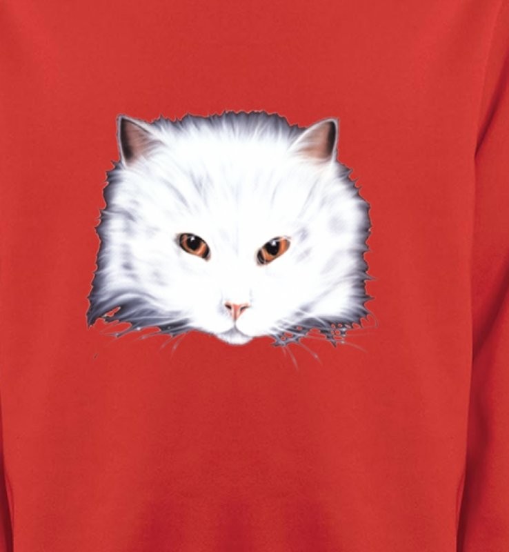 Chat Angora blanc
