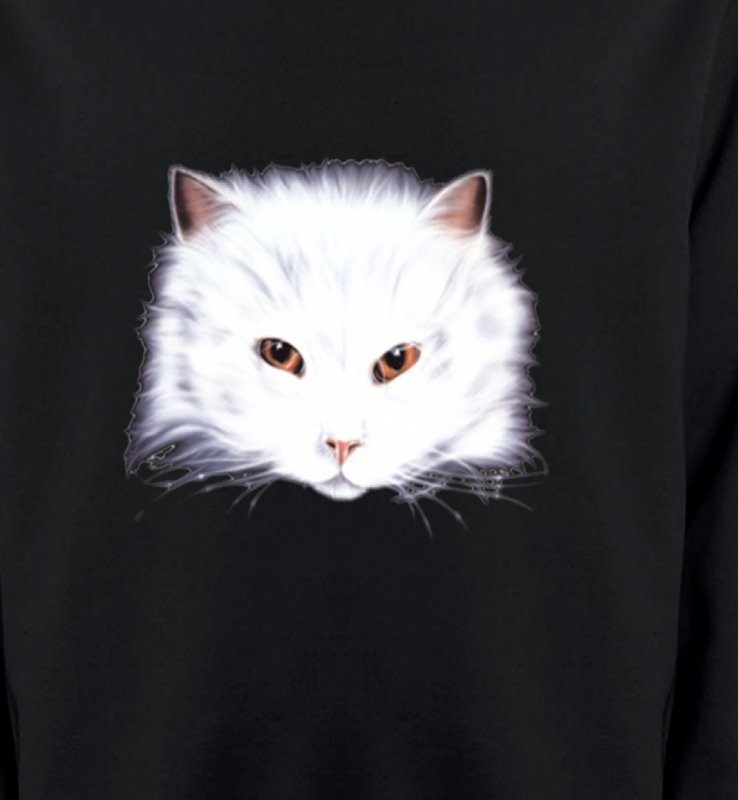 Chat Angora blanc