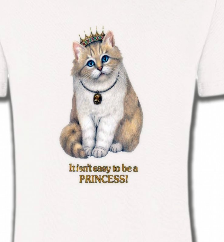 Chat Princesse (y3)