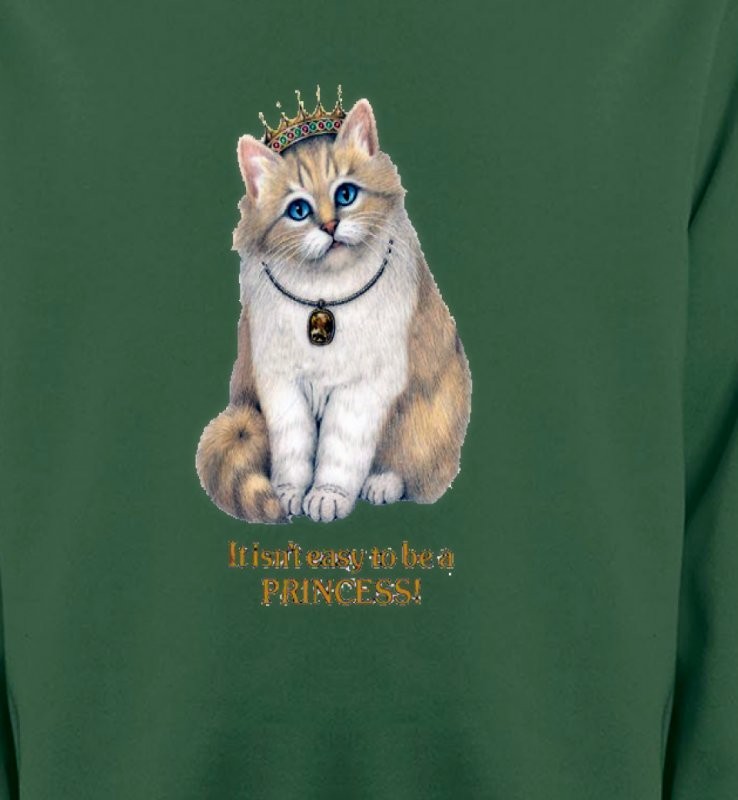 Chat Princesse (y3)
