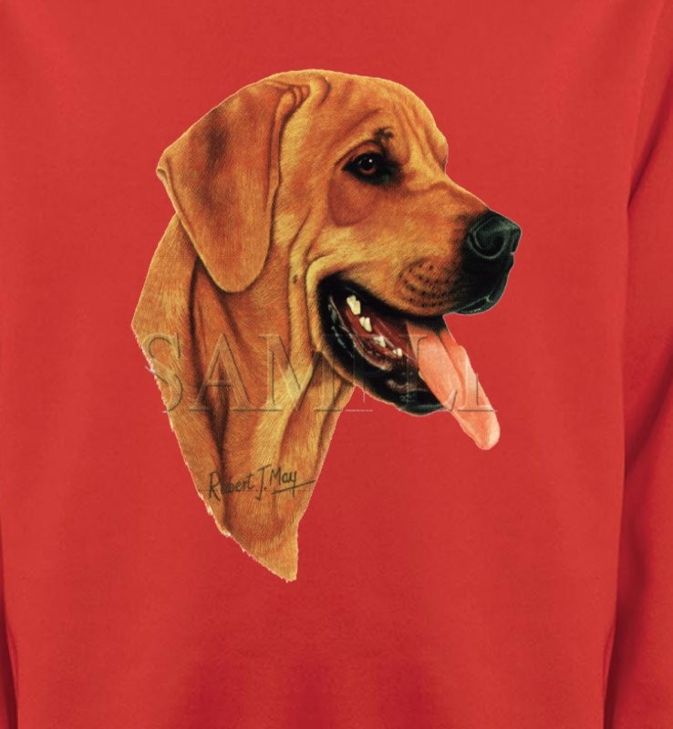 Labrador sable (J)