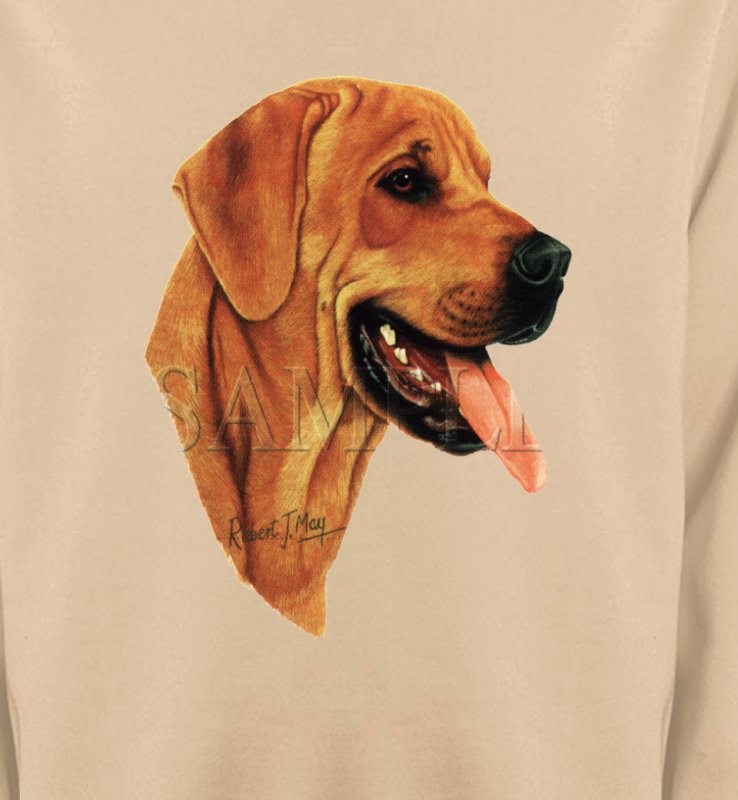 Labrador sable (J)