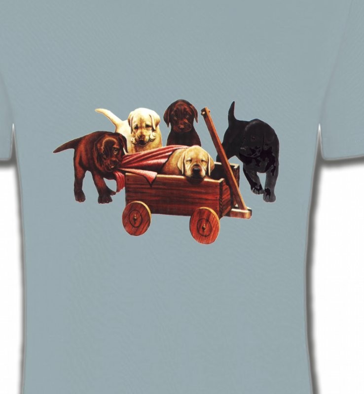 Bébé Labrador (B2G)