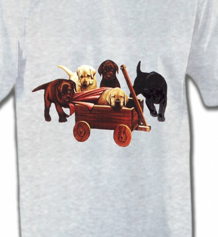 Bébé Labrador (B2G)