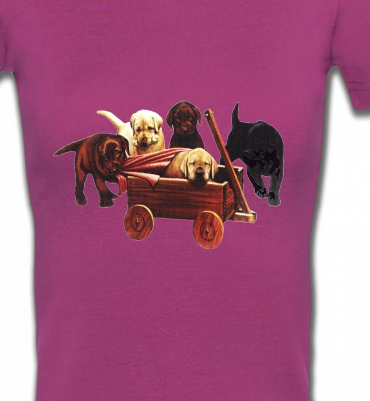 Bébé Labrador (B2G)