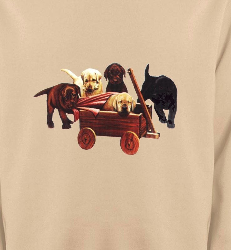 Bébé Labrador (B2G)
