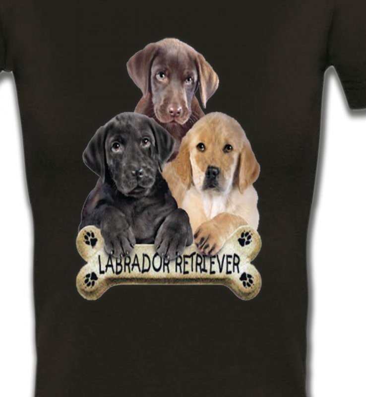 Bébé labrador noir chocolat et sable (P)