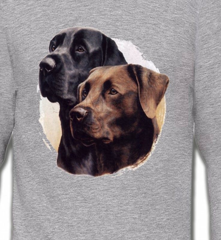 Labrador noir et chocolat (A)