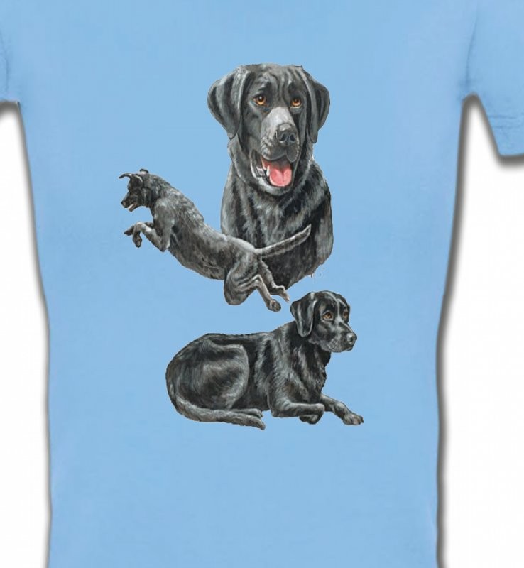 Labrador noir (C)
