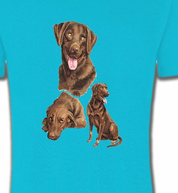 Labrador chocolat  (F)