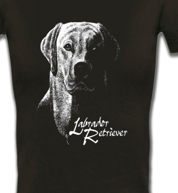 Labrador noir et blanc (H)