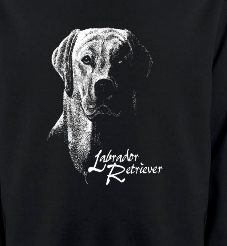 Labrador noir et blanc (H)