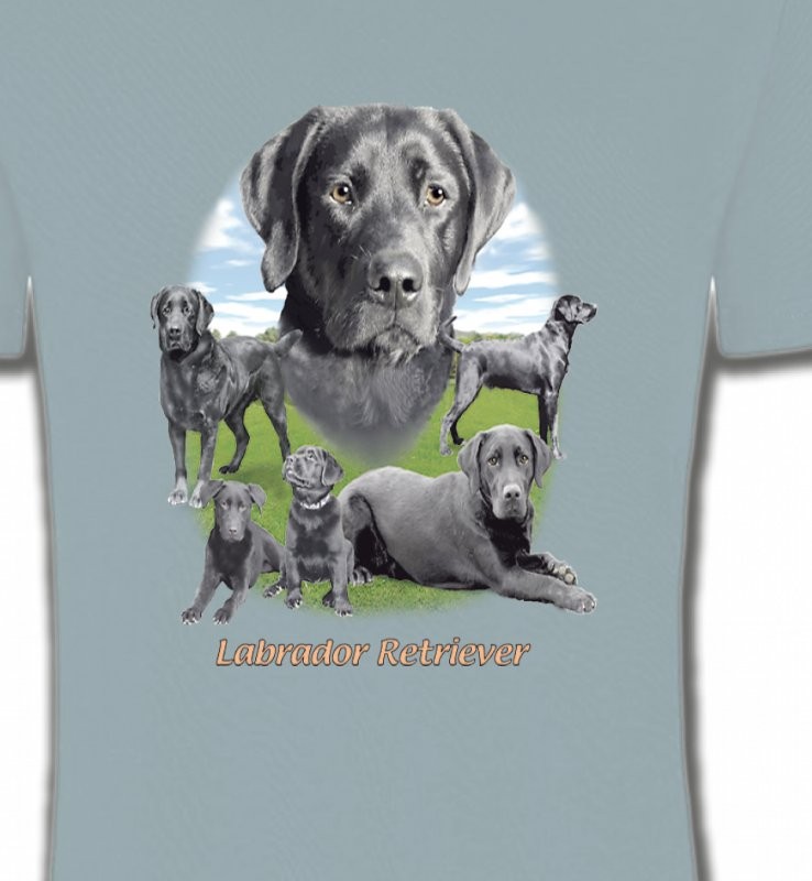 Labrador paysage gris paysage (O)