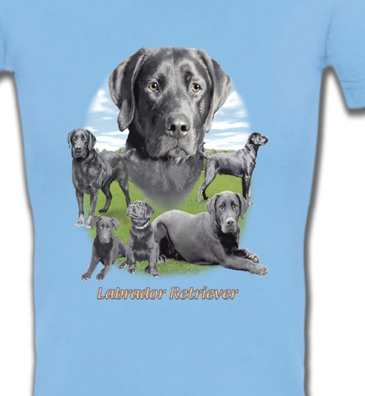 Labrador paysage gris paysage (O)