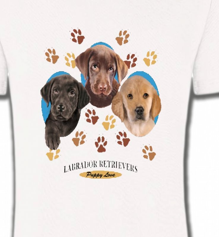 Bébés Labradors (U)