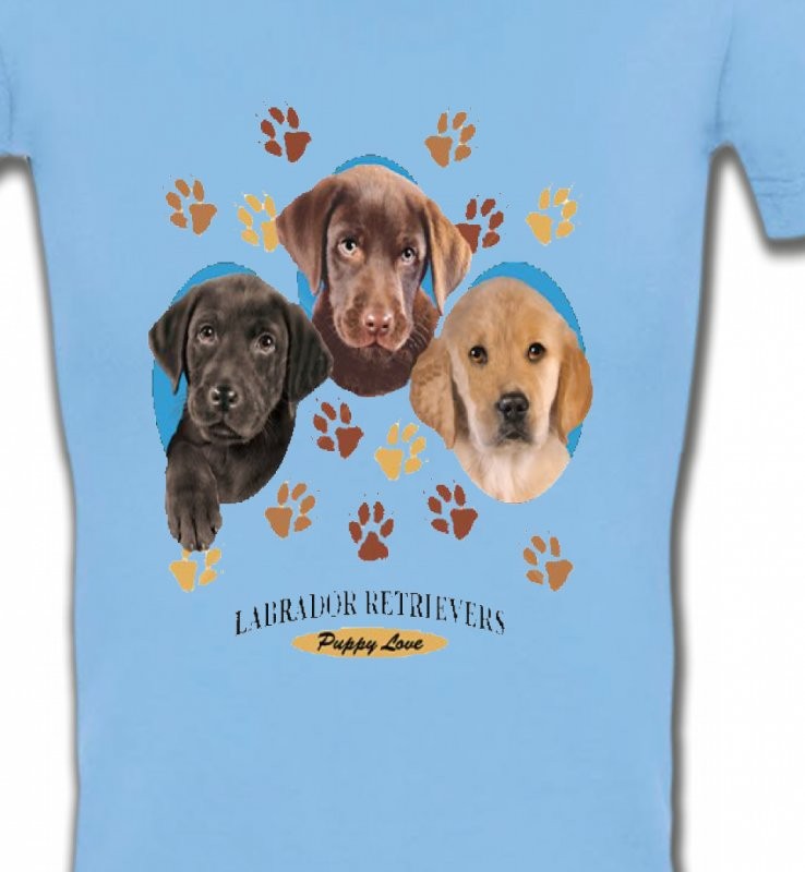 Bébés Labradors (U)