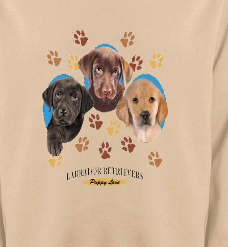 Bébés Labradors (U)
