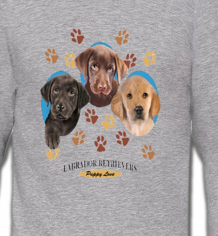 Bébés Labradors (U)