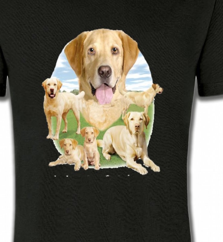 Labrador paysage sable  (R)