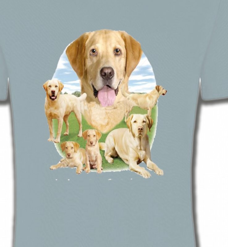 Labrador paysage sable  (R)