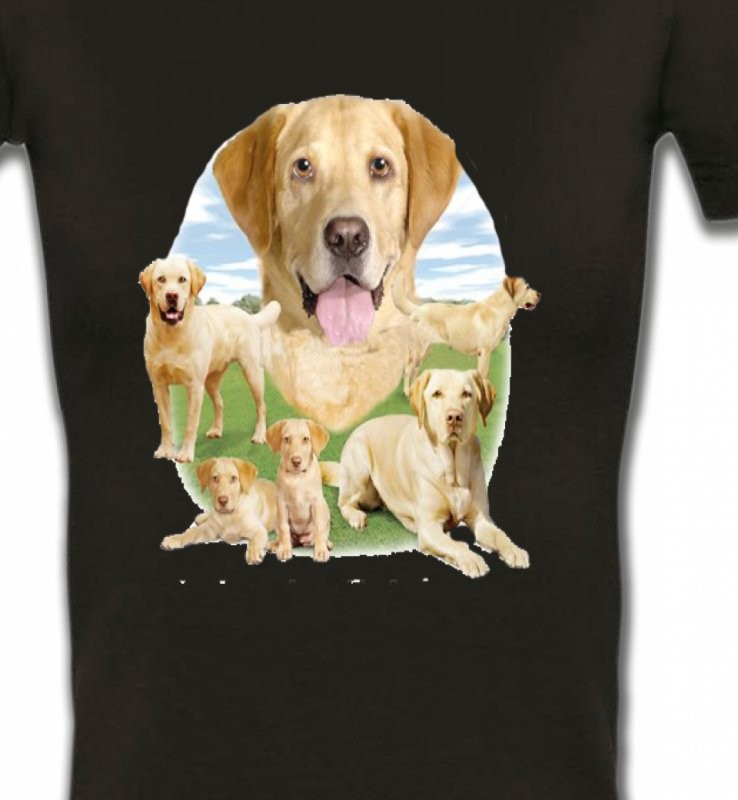 Labrador paysage sable  (R)