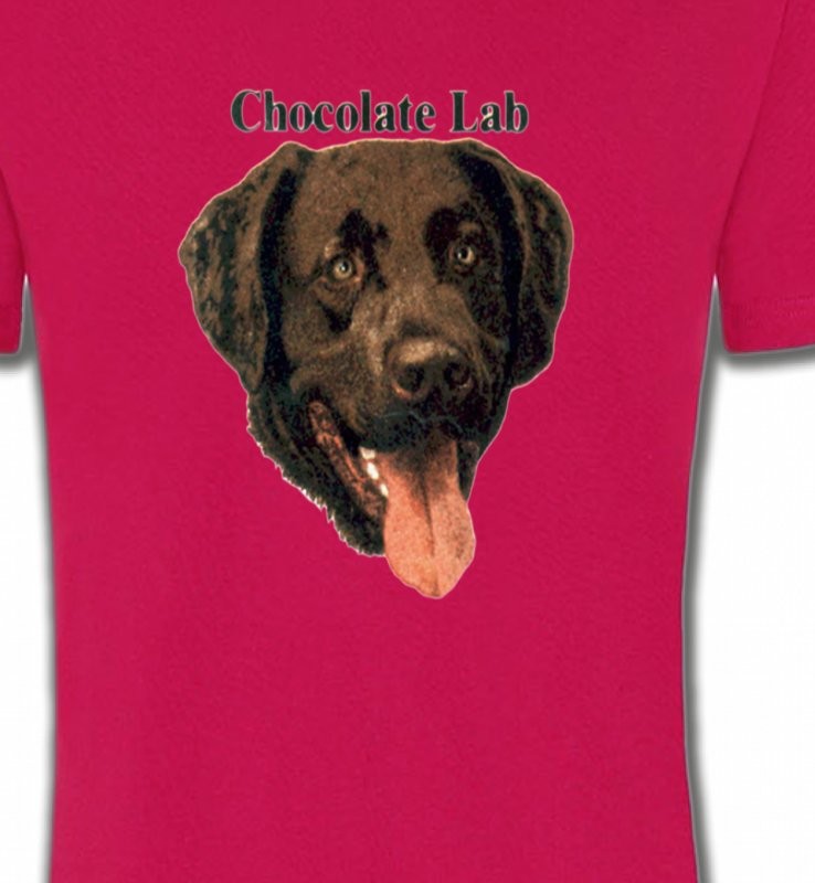 Tête de Labrador chocolat (W)