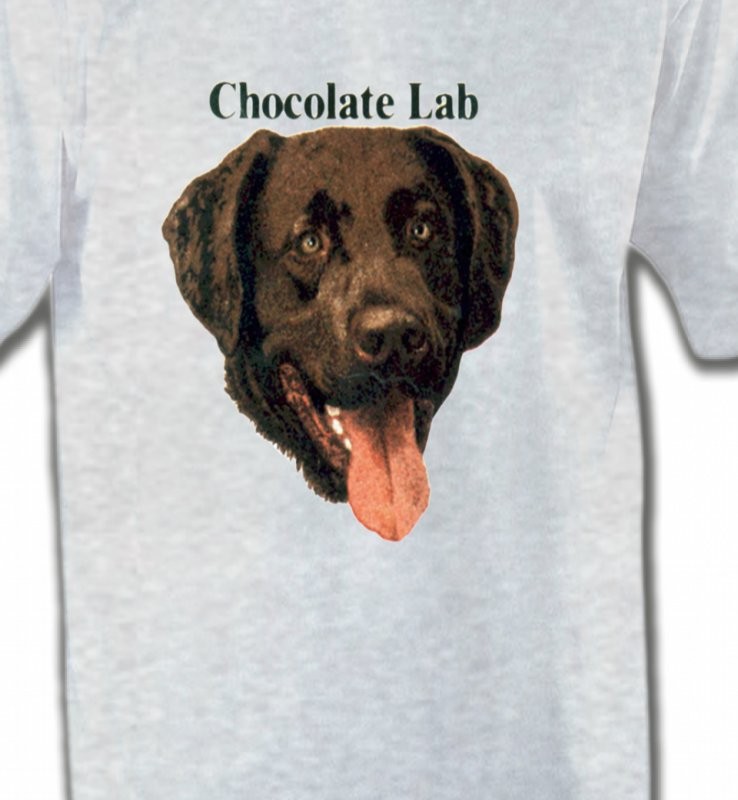 Tête de Labrador chocolat (W)